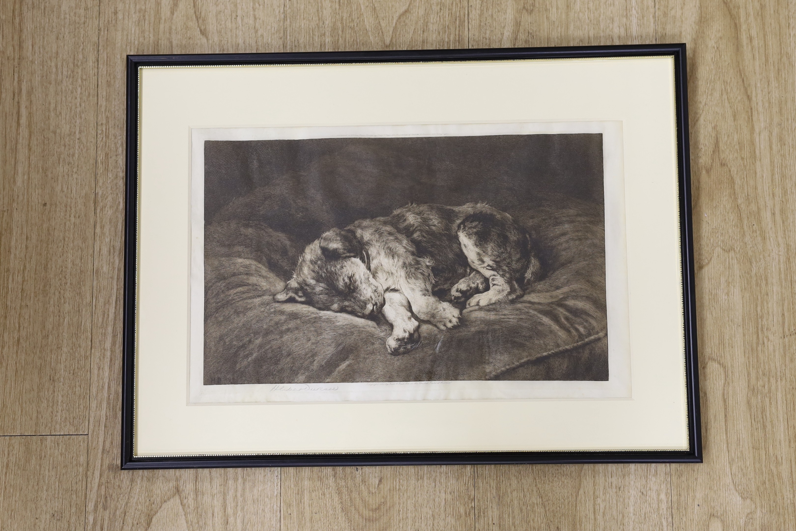 Herbert Thomas Dicksee (1862-1942), etching on vellum, 'On Velvet', signed in pencil, 26 x 41cm